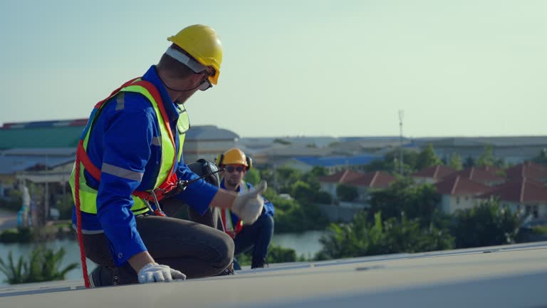 Best Skylight Installation and Repair  in Satsuma, AL
